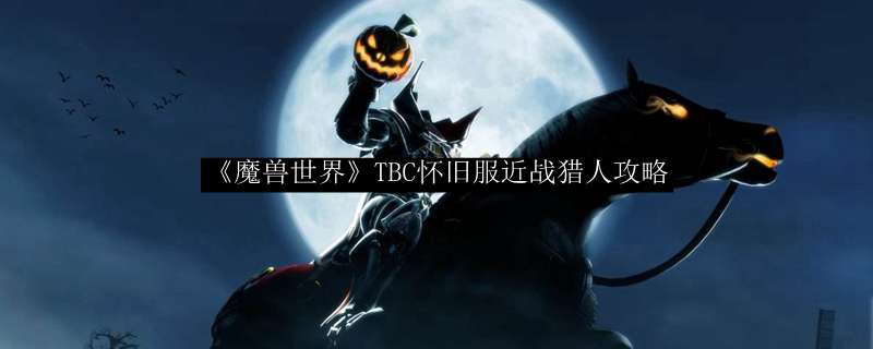 《魔兽世界》TBC怀旧服近战猎人攻略