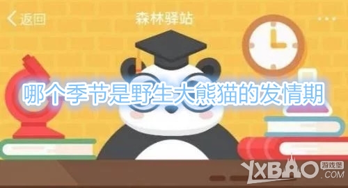 《森林驿站》哪个季节是野生大熊猫的发情期？