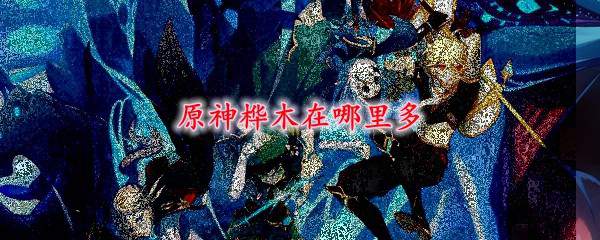 原神桦木在哪里多