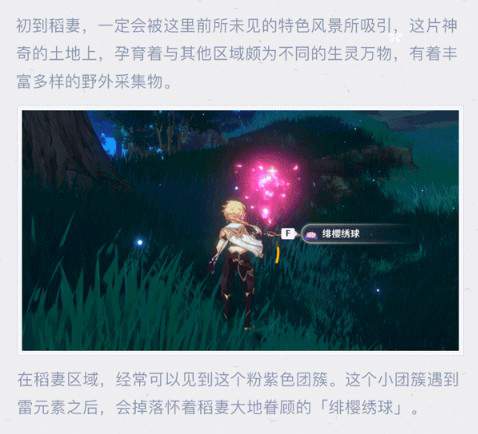 《原神》2.0绯樱绣在哪采集