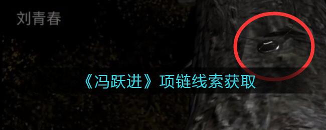 《孙美琪疑案：冯跃进》五级线索——项链