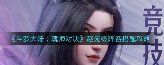 《斗罗大陆：魂师对决》赵无极阵容搭配攻略