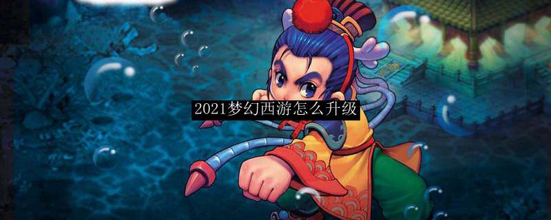 2021梦幻西游怎么升级