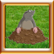 打鼹鼠