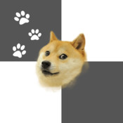 狗总督瓷砖上奔跑