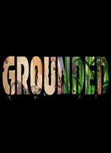 Grounded汉化补丁