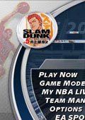 NBA2004灌篮高手版