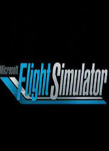 微软飞行模拟器 英文版