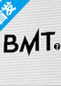 代号BMT 电脑版