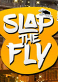 Slap The Fly 英文版