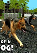 流浪狗模拟 电脑版